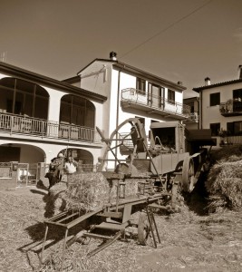 treb Tornimparte (48)